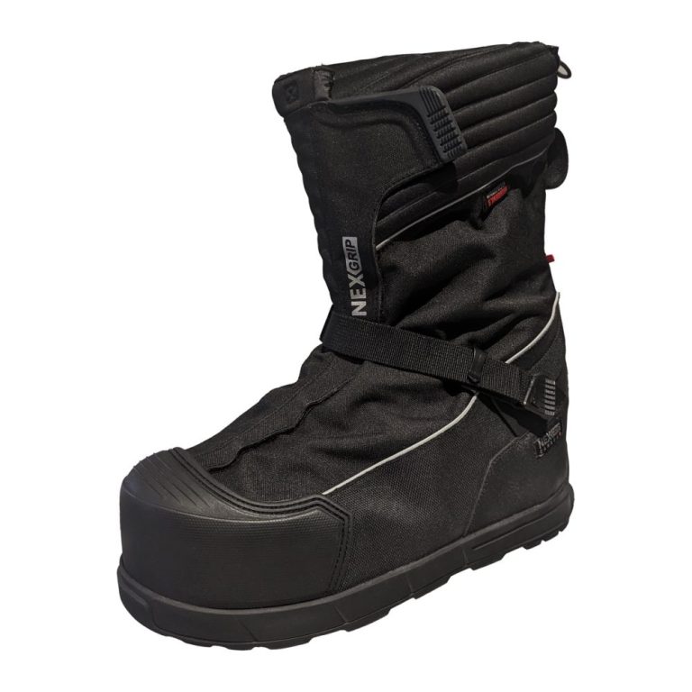 Ice_Guardian_01 – grande taille